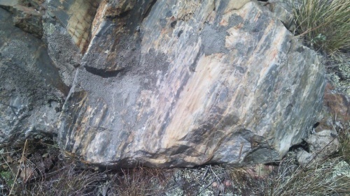 Гигантские зелёные валуны для ландшафтного дизайна весом более 5 тонн купить в Хотьково