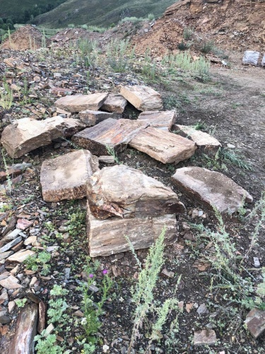 Плитняк кора дерева 50-100мм для пошаговых дорожек купить в Хотьково